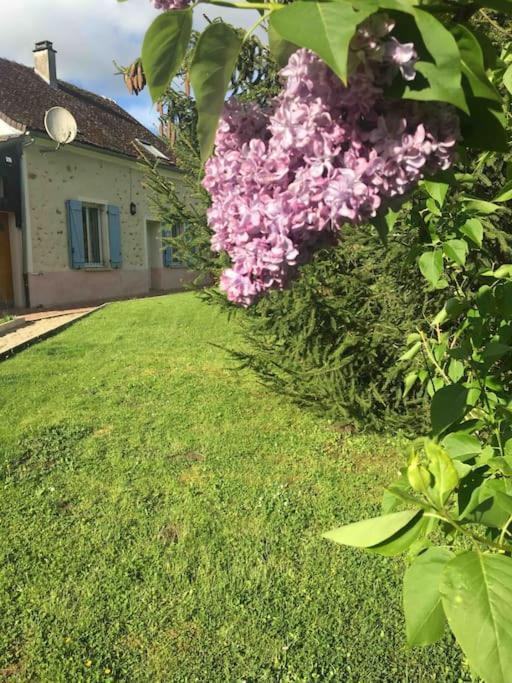 Cottage De Charme A La Campagne オルノワ エクステリア 写真
